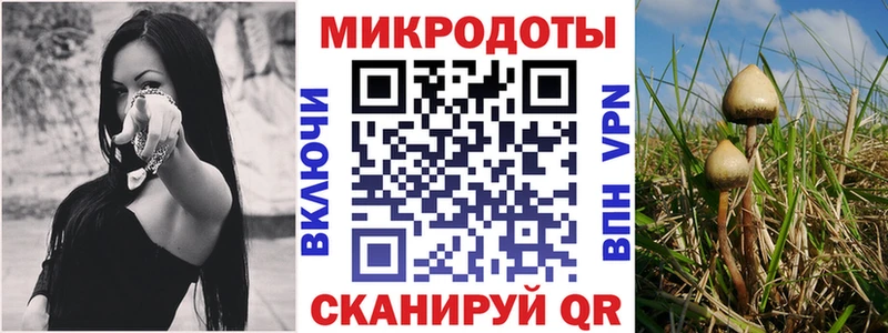 сайты даркнета телеграм  Абакан  Псилоцибиновые грибы Psilocybe 