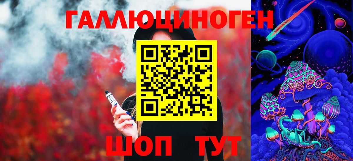 Псилоцибиновые грибы Psilocybine cubensis Абакан
