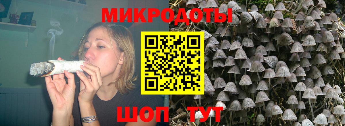 дарнет шоп  Абакан  Галлюциногенные грибы GOLDEN TEACHER  Галлюциногенные грибы Psilocybe 