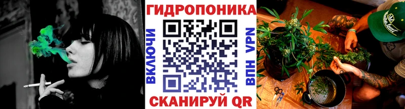 Шишки марихуана VHQ  kraken   Абакан 